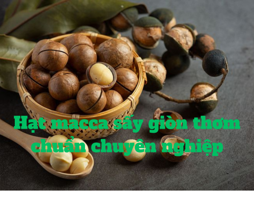Hạt macca sấy giòn thơm chuẩn chuyên nghiệp