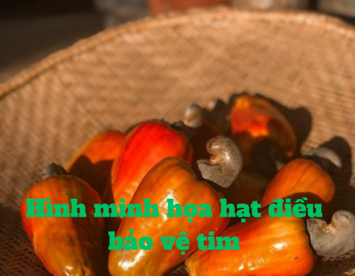 thanh-phan-dinh-duong-hat-dieu
