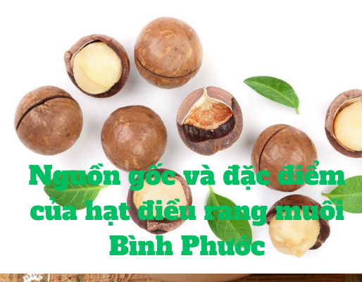Macca bao nhiêu 1kg tại Việt Nam