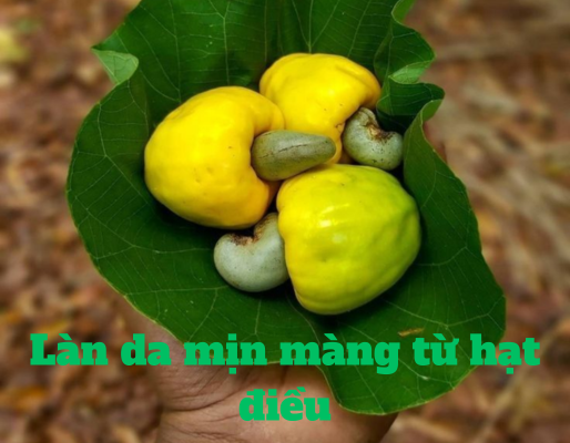 an-hat-dieu-co-tac-dung-gi-voi-xuong-khop
