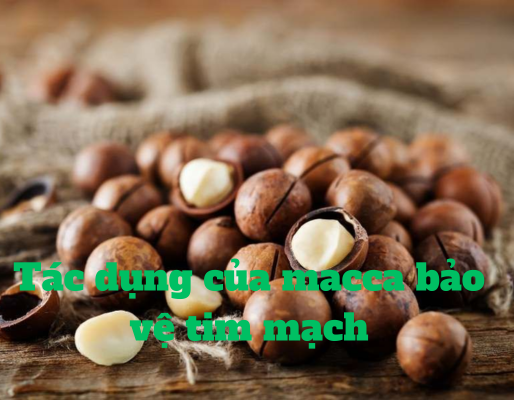 Cách Bảo Quản Hạt Macca Đúng Cách