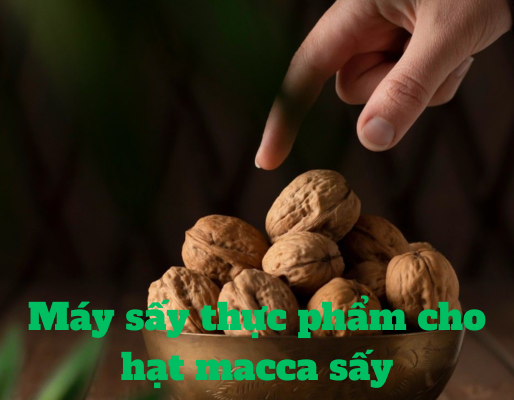Máy sấy thực phẩm cho hạt macca sấy