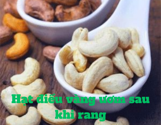 soi-than-hat-mac-ca