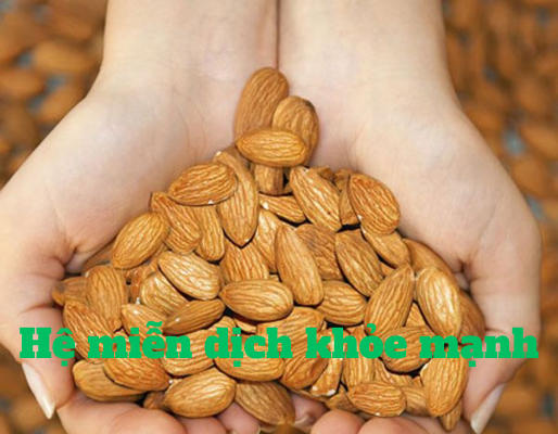 nutrinut.vn