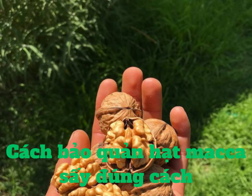 Cách bảo quản hạt macca sấy đúng cách