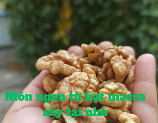 Món ngon từ hạt macca sấy tại nhà