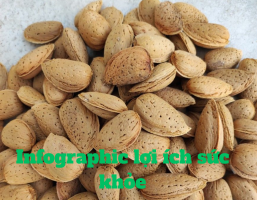 nutrinut.vn