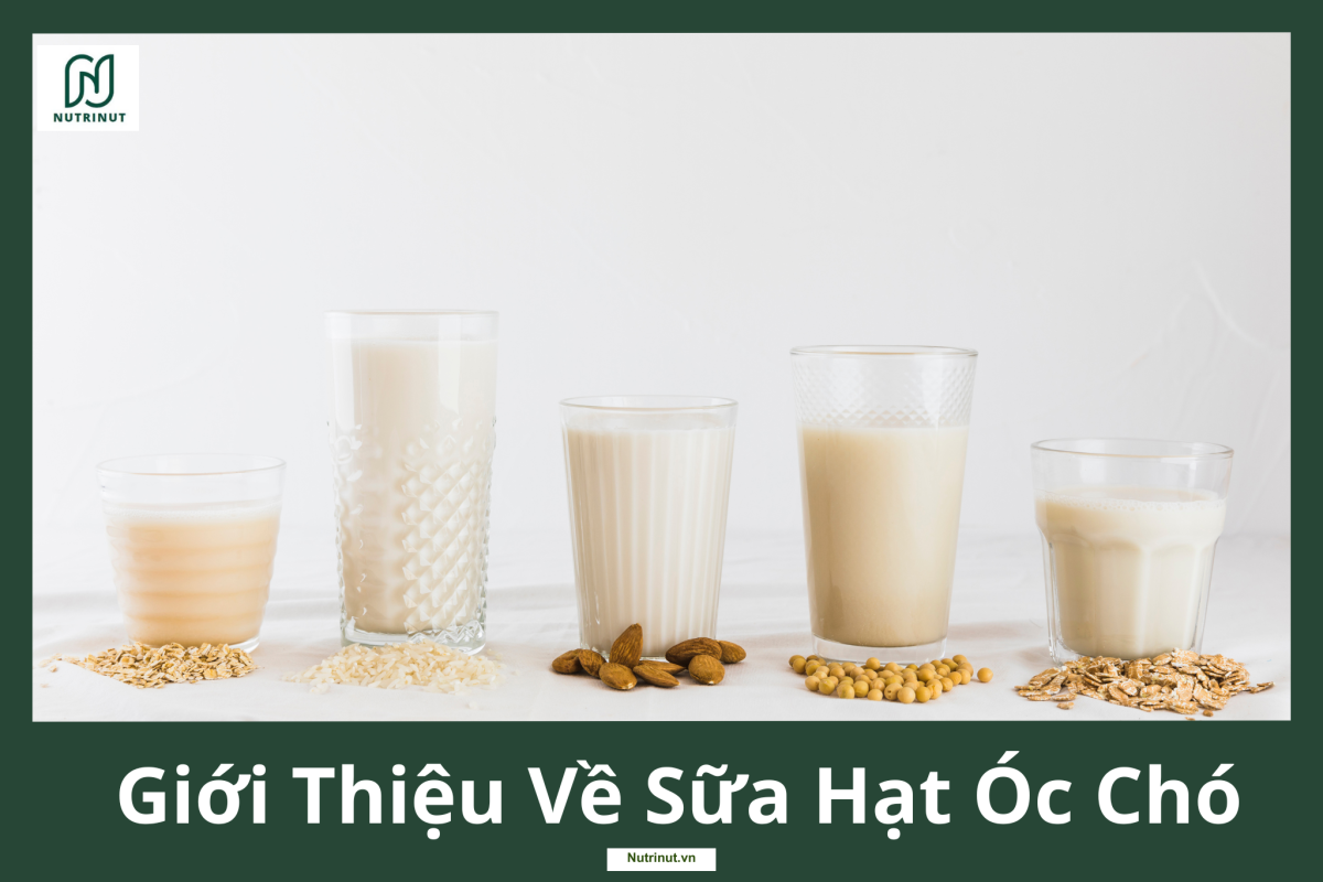 sữa hạt óc chó thơm ngon