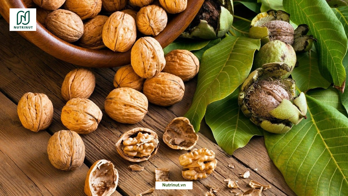 Hạt óc chó tươi trong vỏ