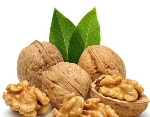 nutrinut.vn