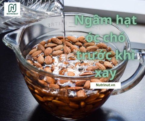 Ngâm hạt óc chó trước khi xay làm sữa hạt óc chó thơm ngon