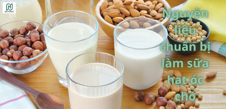 Cách làm sữa hạt óc chó thơm ngon tại nhà