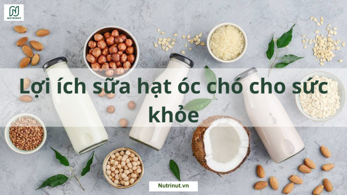 Lợi ích của sữa hạt óc chó đối với sức khỏe và sắc đẹp