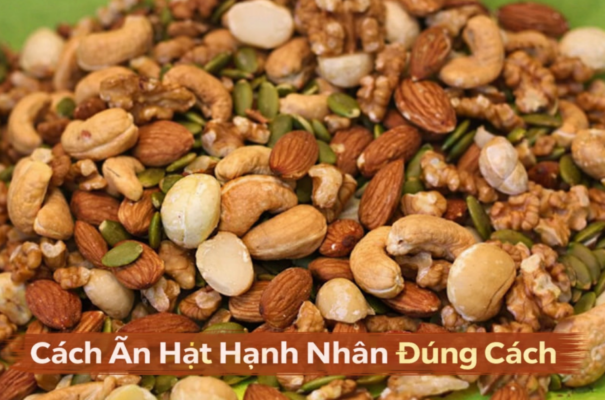 hat-oc-cho-co-tac-dung-gi