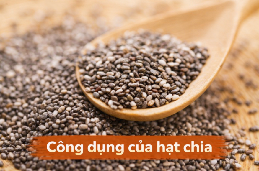 cong-dung-cua-hat-chia