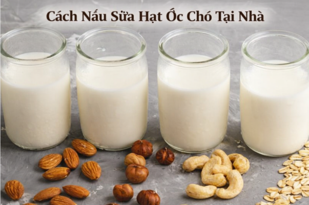 cach-nau-sua-hat-oc-cho-tai-nha