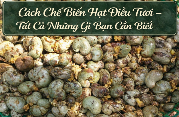 nutrinut.vn