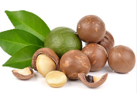 nutrinut.vn